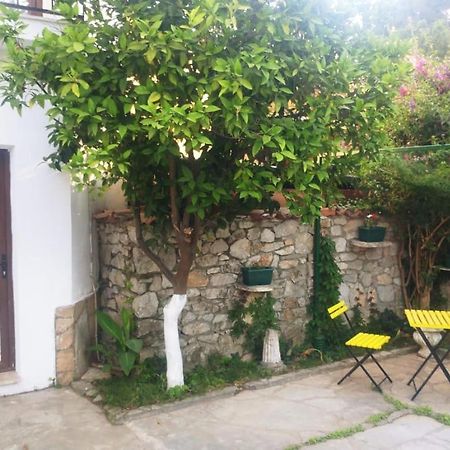 Nehir Dalyan Boutique Otel オルタジャ エクステリア 写真