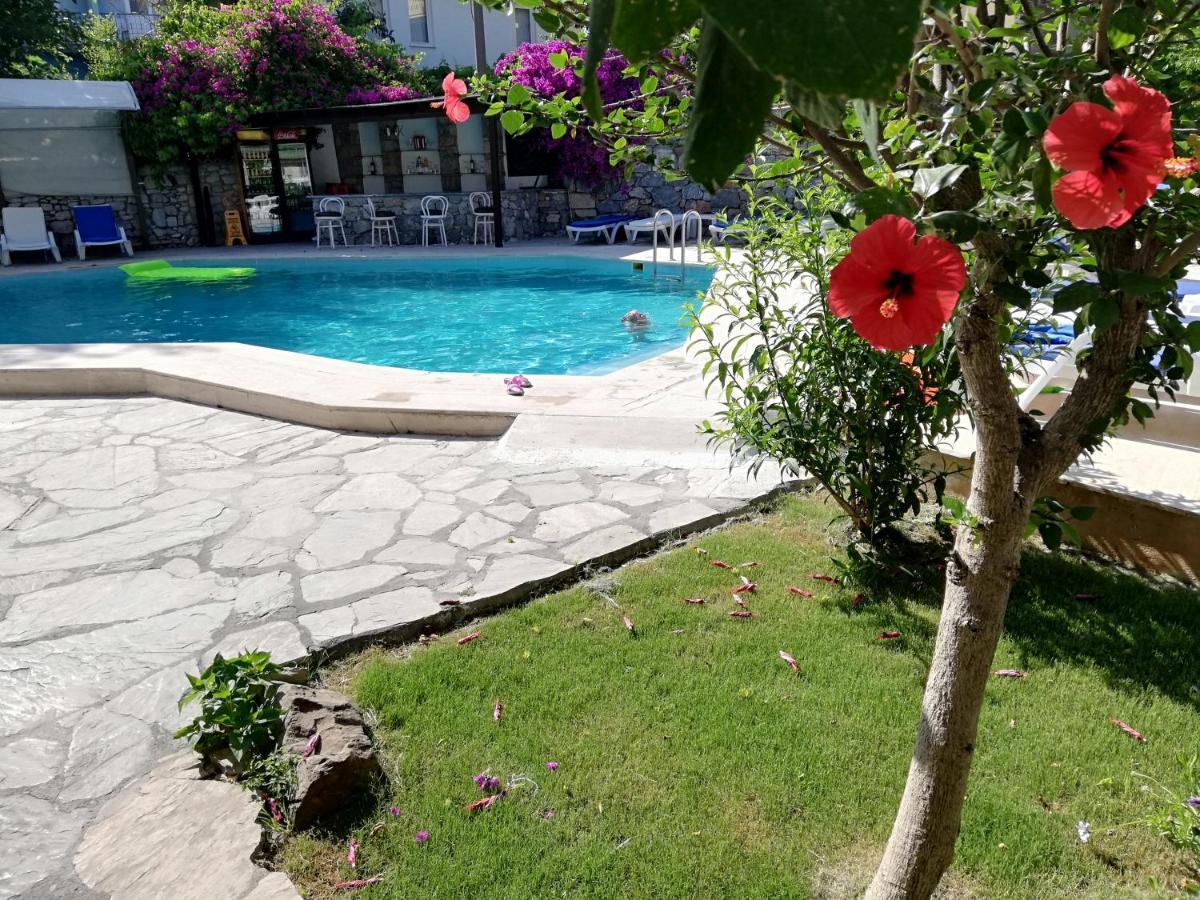 Nehir Dalyan Boutique Otel オルタジャ エクステリア 写真