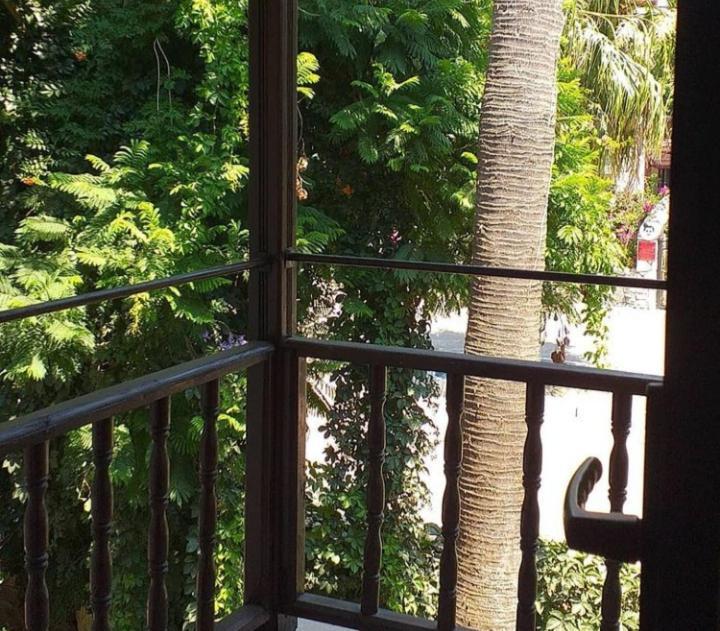 Nehir Dalyan Boutique Otel オルタジャ エクステリア 写真