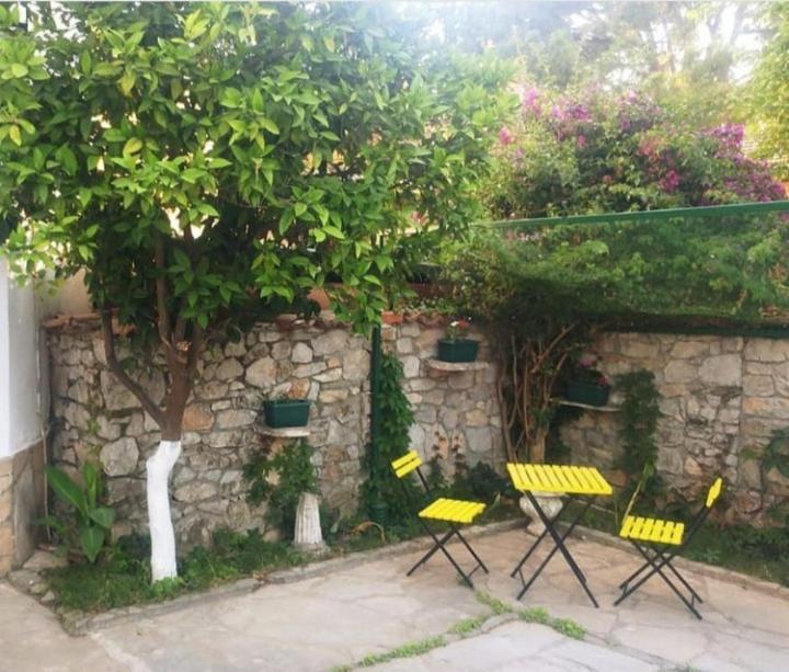Nehir Dalyan Boutique Otel オルタジャ エクステリア 写真