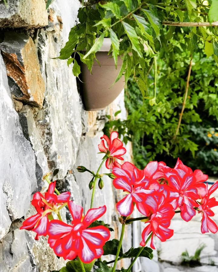 Nehir Dalyan Boutique Otel オルタジャ エクステリア 写真
