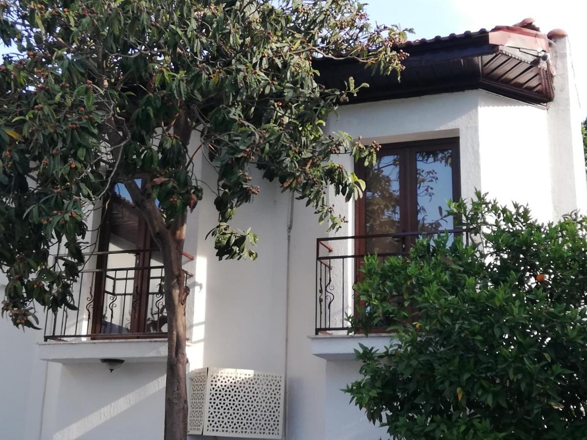 Nehir Dalyan Boutique Otel オルタジャ エクステリア 写真